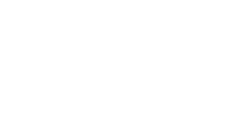 Divi