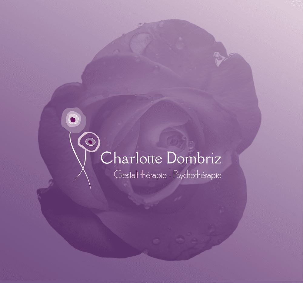 Portfolio 20 cd pf